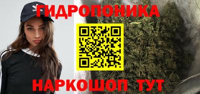 сатива Кулебаки