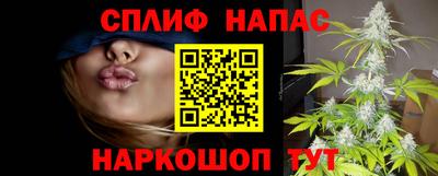 сатива Кулебаки