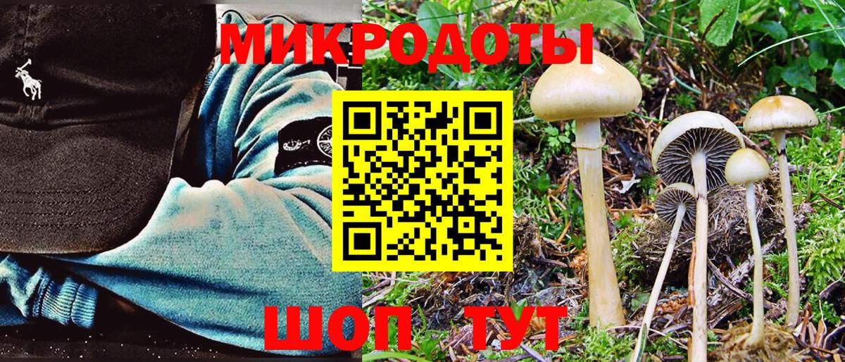Псилоцибиновые грибы GOLDEN TEACHER Казань